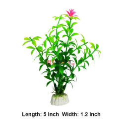 Aquascaper Aquarium Plant Mini 