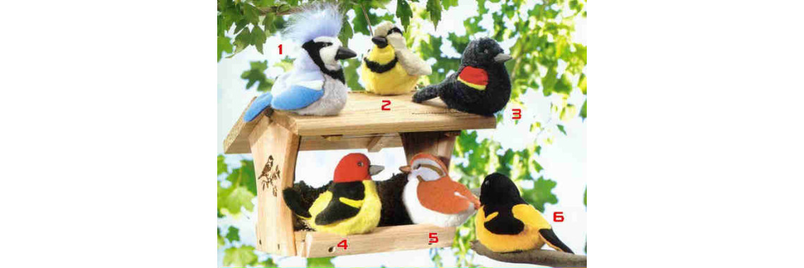 Busy Beak are Happy beaks