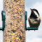 Bird Feeding!!