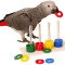 Bird Training