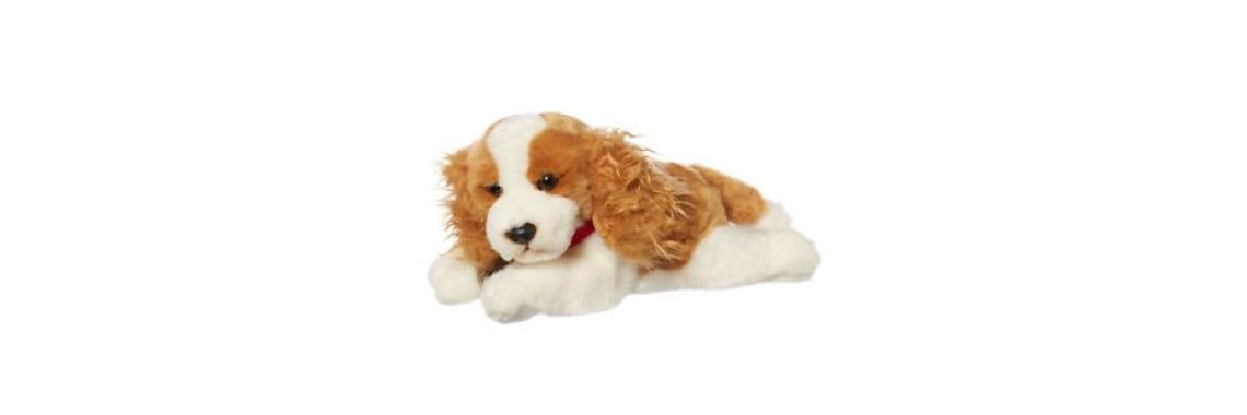 Dog Buyers Guide