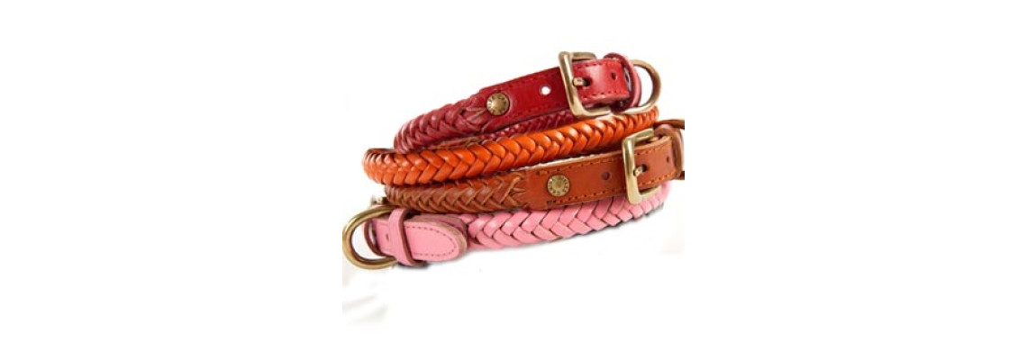 Correct any kind of upsetting behavior with dog training collars
