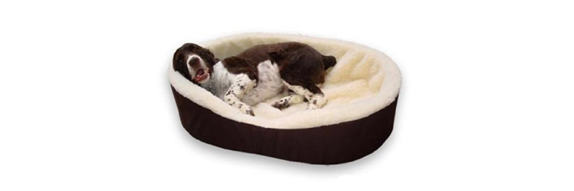 Choosing The Perfect Bed For Your Dog