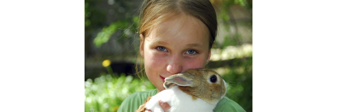 Caring For Your Pets