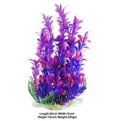 Ambulia Plant Purple Medium
