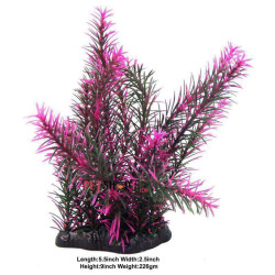 Aquascaper Aquarium Plant Desert Pink Foxtail Medium