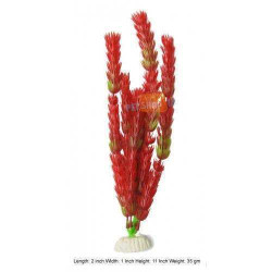 Aqueon Foxtail Plant Red Medium