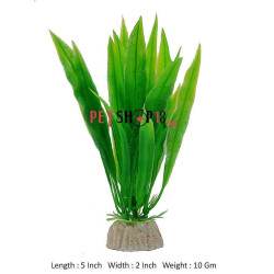 Aquascaper Hairgrass Single Mini Plant