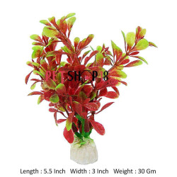 Bacopa Foxtail Red Mini